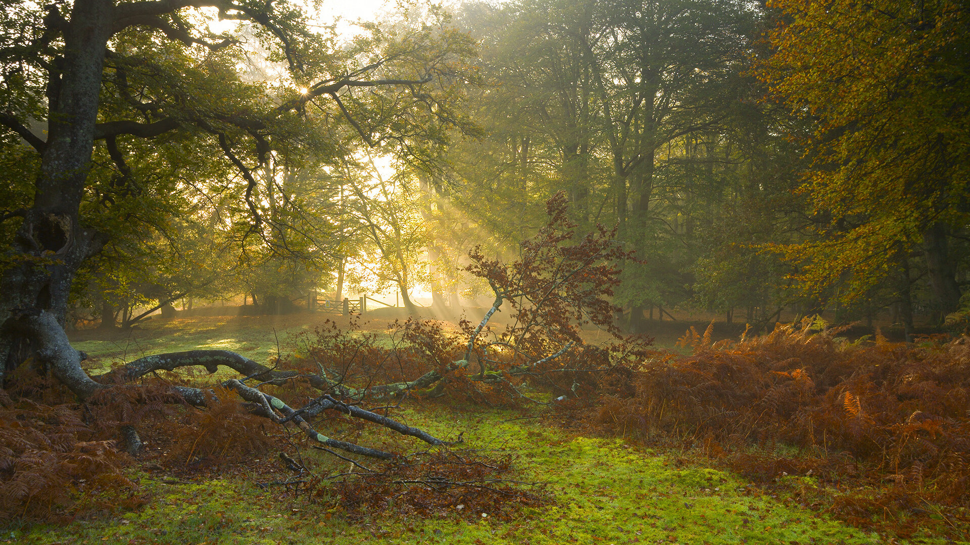 九游-NBA年度盛典：奖项争夺、盛大颁奖引人期待，nba 颁奖典礼