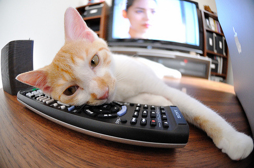 九游登录入口-“德甲“老牌劲旅”迎来新突破，表现令人侧目”，法甲老牌劲旅