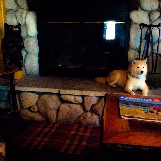 九游登录中心-大型陆上沙袋搏击赛，力量与技巧的激烈碰撞，沙袋拳击视频教学