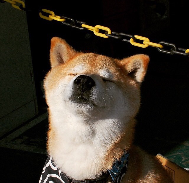 九游app官网下载-大型火锅骑行节，运动与美食的极致融合，骑马火锅