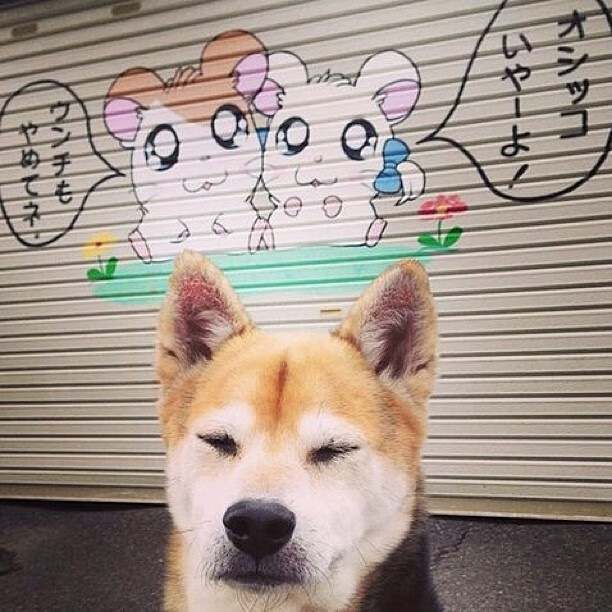 Jiu You-奥格斯堡客场逆转战胜对手，保持不败战绩，奥格斯堡队