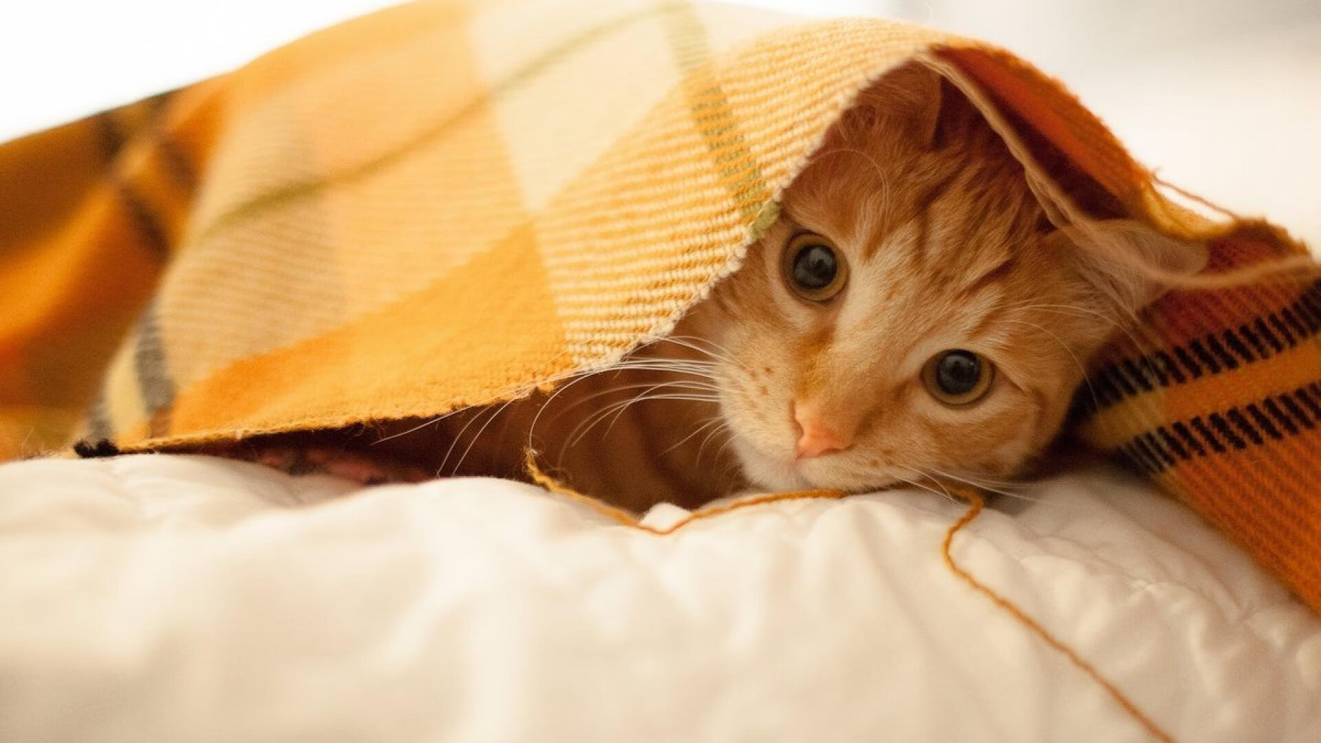 九游下载安装-关键时段技术动作数据变化，关键时段技术动作数据变化分析