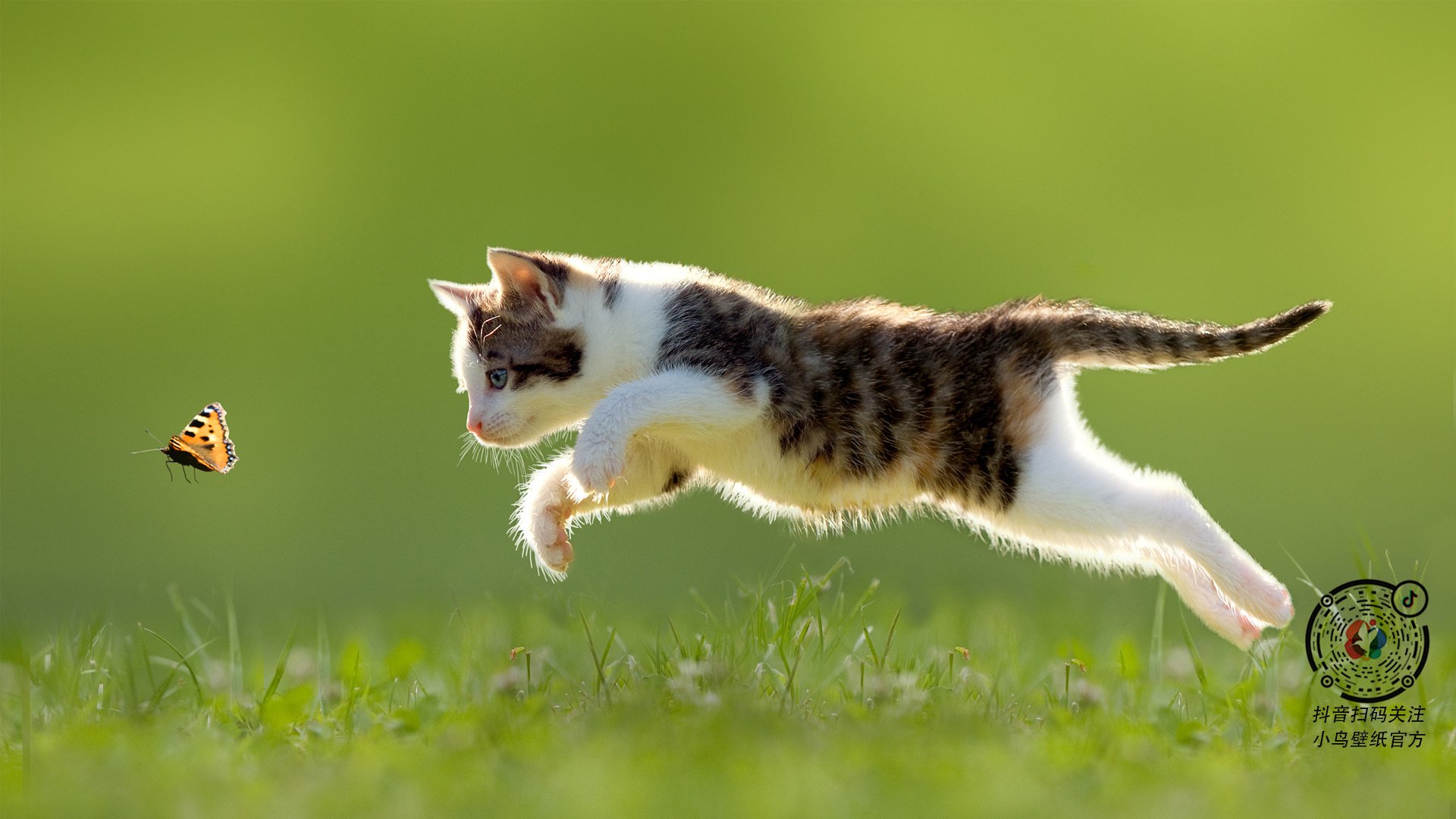 -马里特·斯滕伯根刷新个人最佳成绩，特里斯滕森